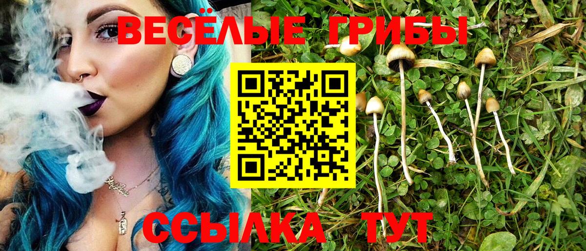Галлюциногенные грибы мухоморы  Галлюциногенные грибы мицелий  Малгобек  Вход с VPN 