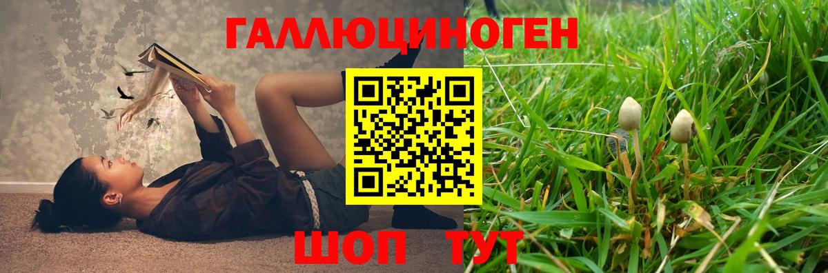 Псилоцибиновые грибы GOLDEN TEACHER Малгобек